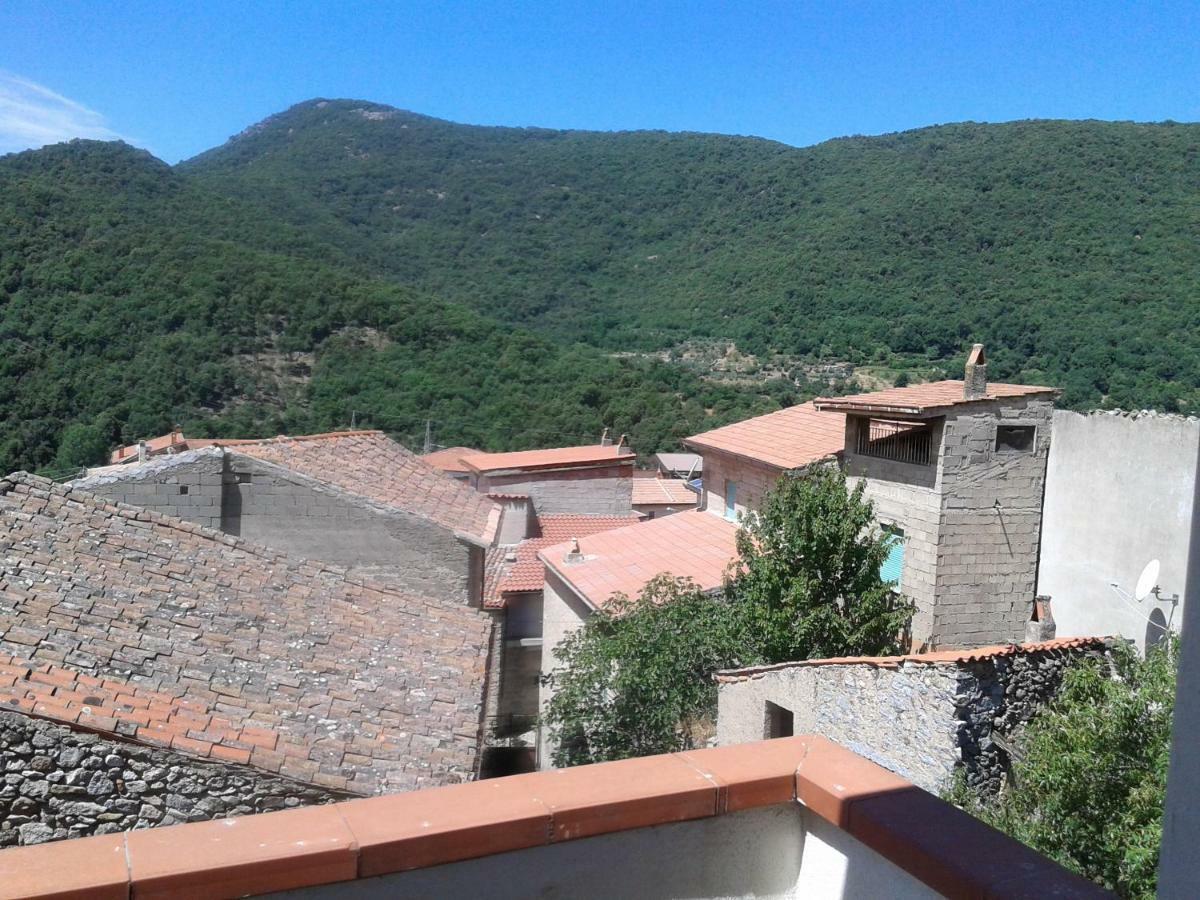 B&B Meddie Тиана Экстерьер фото